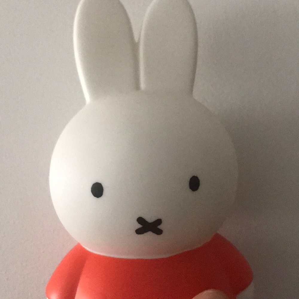 Meet your Posher, Miki